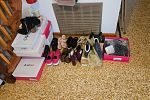 Sale Photo Thumbnail #15