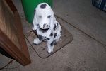 Sale Photo Thumbnail #56