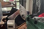 Sale Photo Thumbnail #18