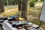 Sale Photo Thumbnail #9