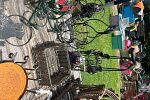Sale Photo Thumbnail #39