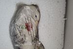 Sale Photo Thumbnail #19