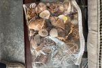 Sale Photo Thumbnail #27