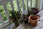 Sale Photo Thumbnail #23