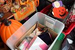Sale Photo Thumbnail #48