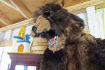 Sale Photo Thumbnail #21