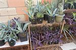 Sale Photo Thumbnail #14