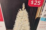 Sale Photo Thumbnail #12