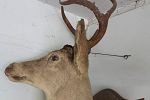 Sale Photo Thumbnail #23