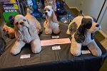 Sale Photo Thumbnail #40