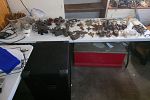Sale Photo Thumbnail #37
