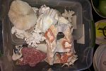 Sale Photo Thumbnail #61