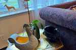 Sale Photo Thumbnail #47