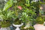 Sale Photo Thumbnail #25