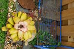 Sale Photo Thumbnail #55
