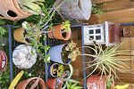 Sale Photo Thumbnail #56