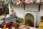 Sale Photo Thumbnail #30