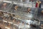 Sale Photo Thumbnail #14