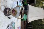 Sale Photo Thumbnail #23