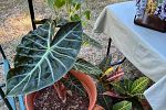 Sale Photo Thumbnail #5