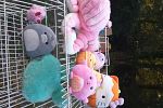 Sale Photo Thumbnail #21