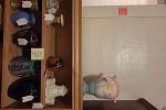 Sale Photo Thumbnail #12