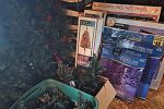 Sale Photo Thumbnail #11