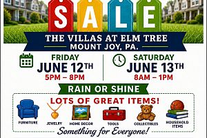 15th Annual Villas at Elm Tree Neighbohood Yard Sale!