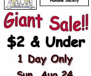 Sale Gallery Photo Thumbnail