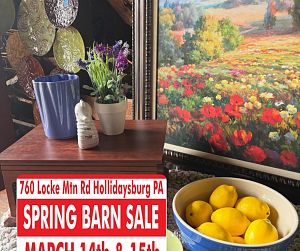 Sale Gallery Photo Thumbnail