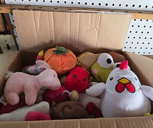 Sale Gallery Photo Thumbnail