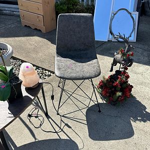 Yard sale photo in Olympia, WA