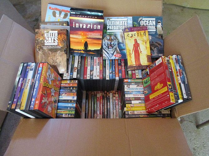 Multi family tons of books, Halloween costumes, Golf photo