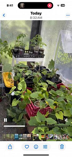 POP-UP TENT YARD SALE photo