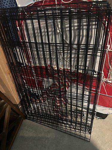 Friday Yard Sale photo