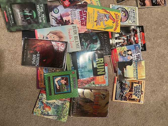 Multi-Family Garage Sale-Plainfield photo